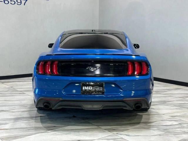 Used 2019 Ford Mustang EcoBoost w/ Equipment Group 101A image 7