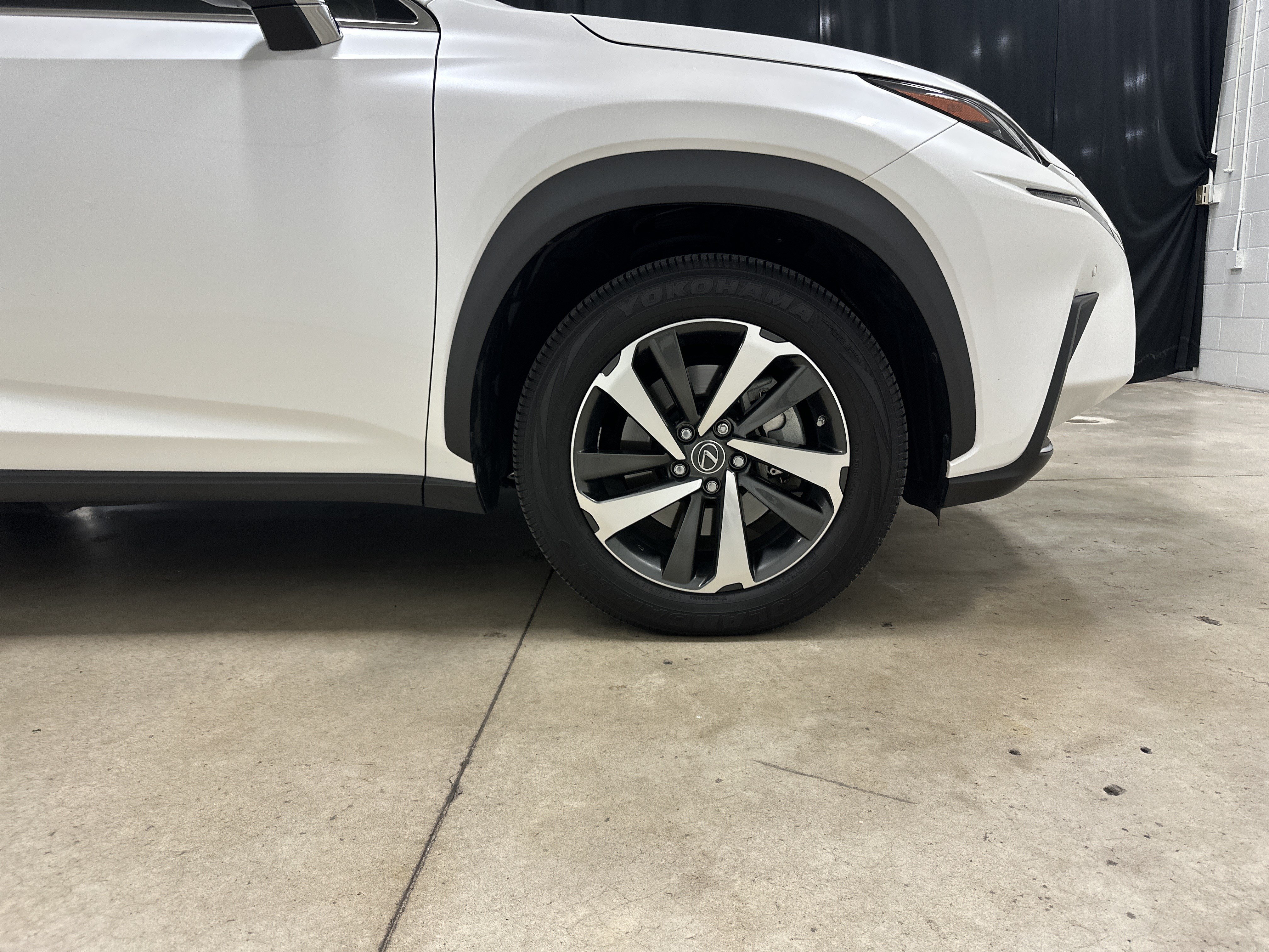 Used 2019 Lexus NX 300h AWD w/ Premium Package image 13