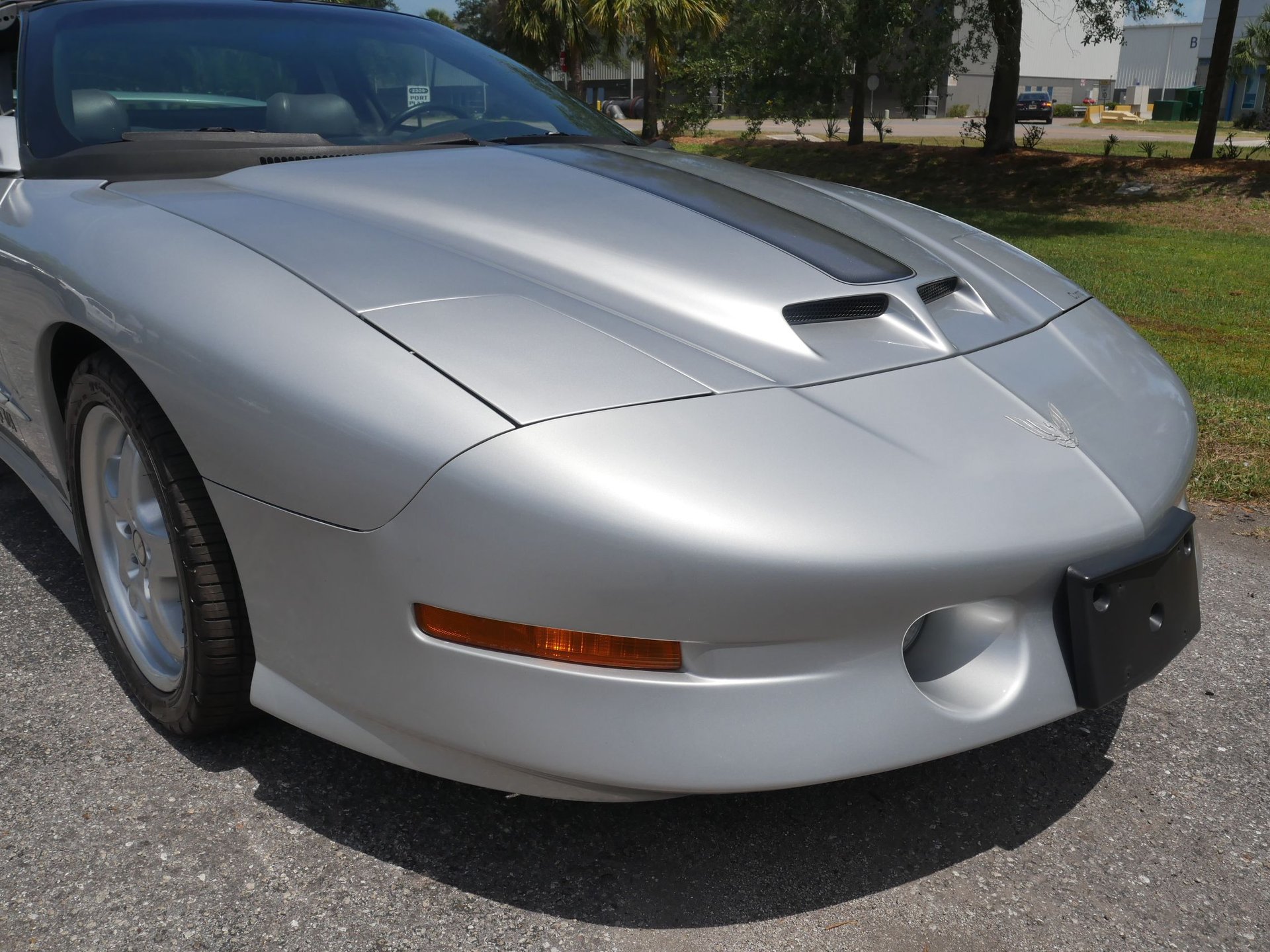 Used 1997 Pontiac Firebird Trans Am RWD image 53