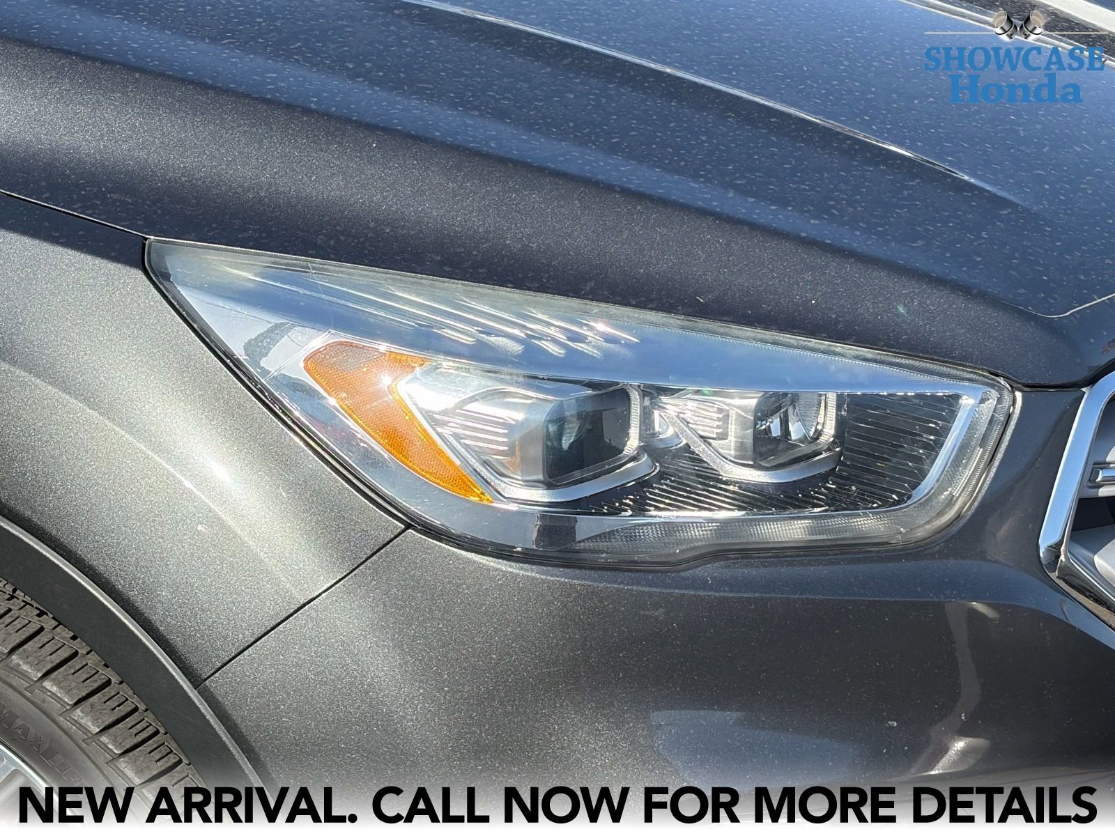 Used 2019 Ford Escape Titanium AWD/4WD image 7