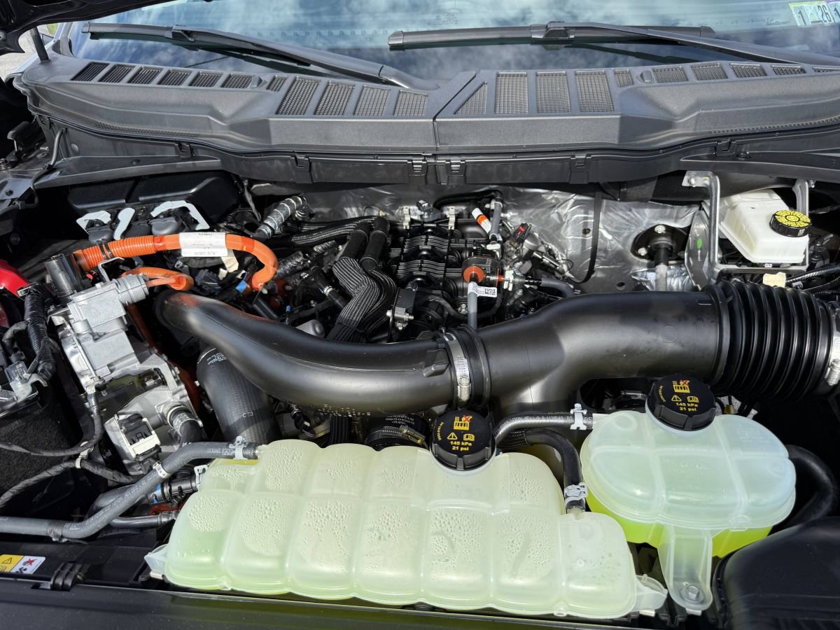 Used 2025 Ford F150 XLT w/ Equipment Group 302A MID image 15