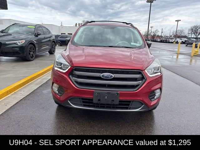 Used 2019 Ford Escape SEL image 3