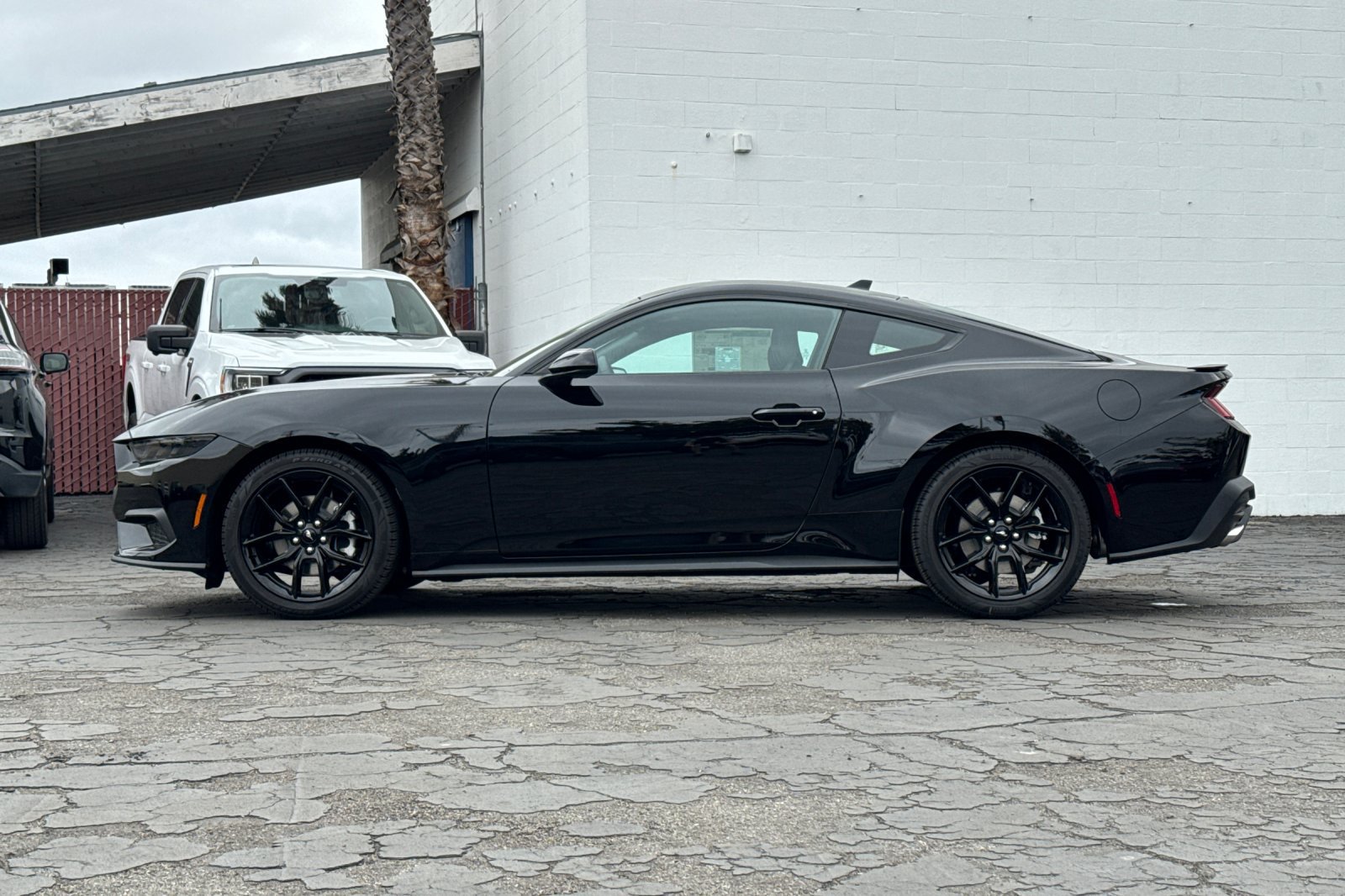 New 2026 Ford Mustang Premium w/ Mustang Nite Pony Package RWD image 7