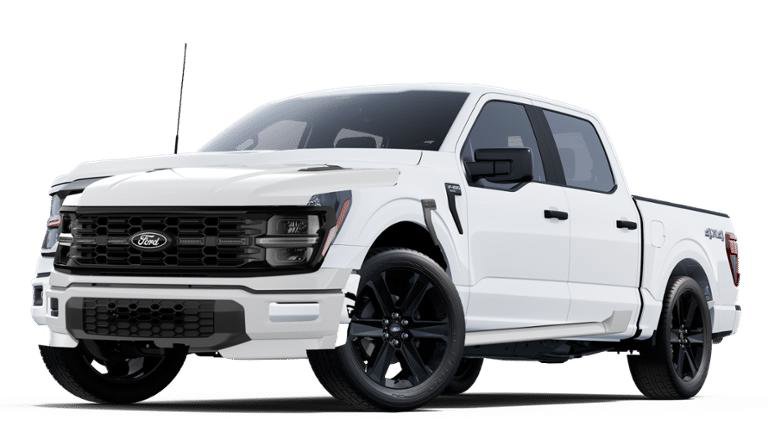 New 2025 Ford F150 STX w/ LOBO Package image 23
