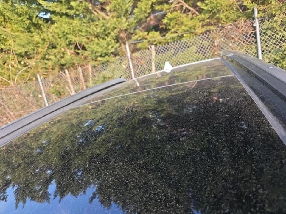 Used 2023 Hyundai Santa Fe SEL w/ Premium Package image 5