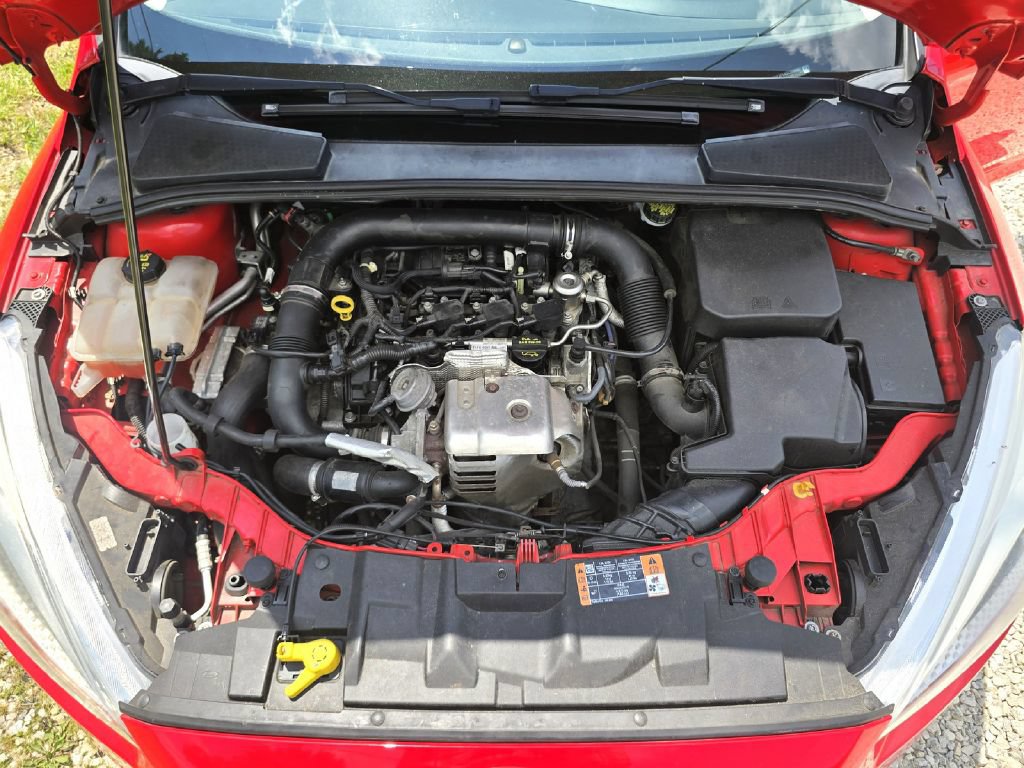 Used 2016 Ford Focus SE w/ SE Cold Weather Package FWD image 21