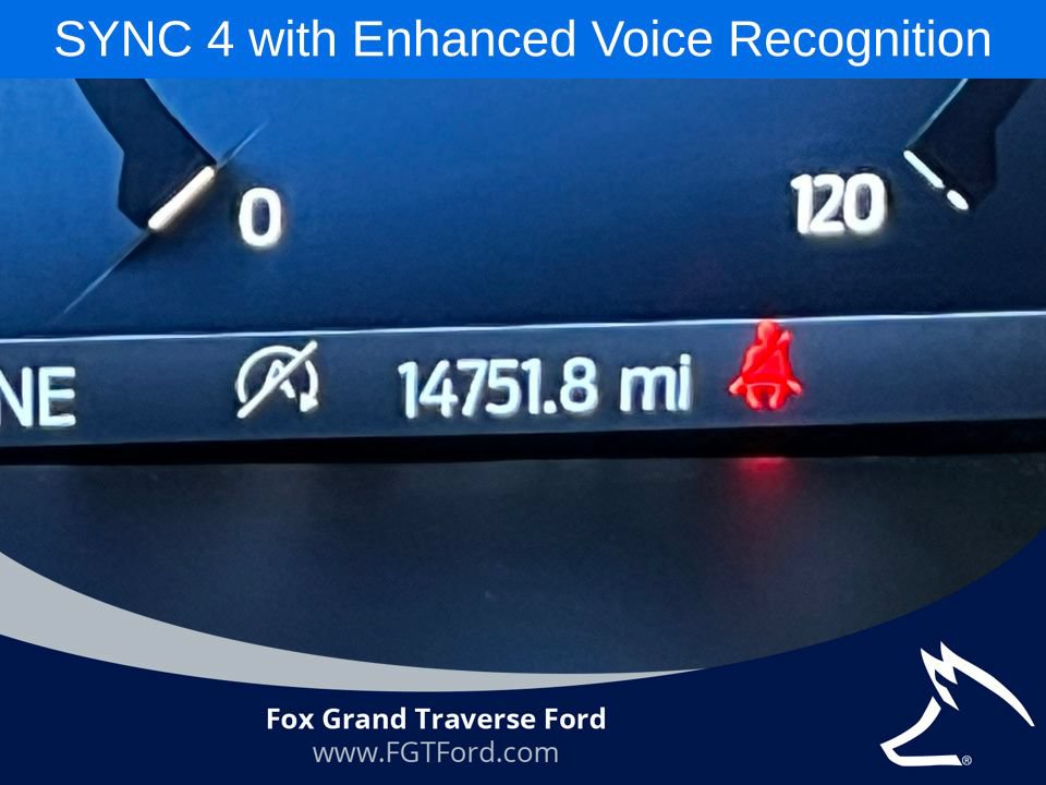Certified 2025 Ford F150 XLT w/ Equipment Group 301A Standard AWD/4WD image 9