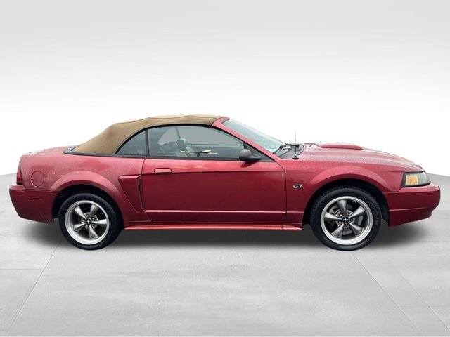Used 2003 Ford Mustang GT image 6