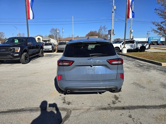 Used 2024 Ford Escape ST-Line image 4