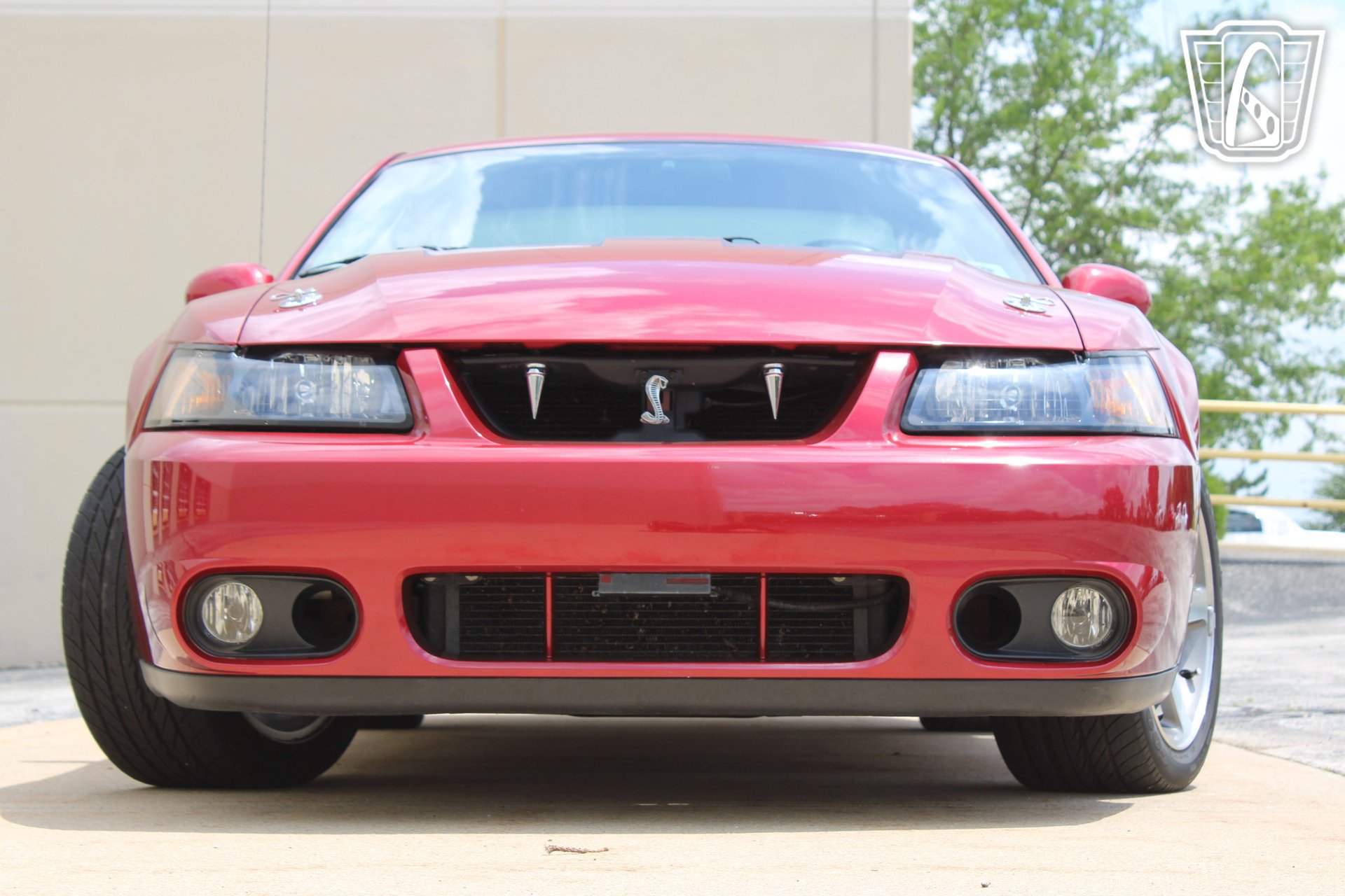 Used 2003 Ford Mustang Cobra RWD image 24