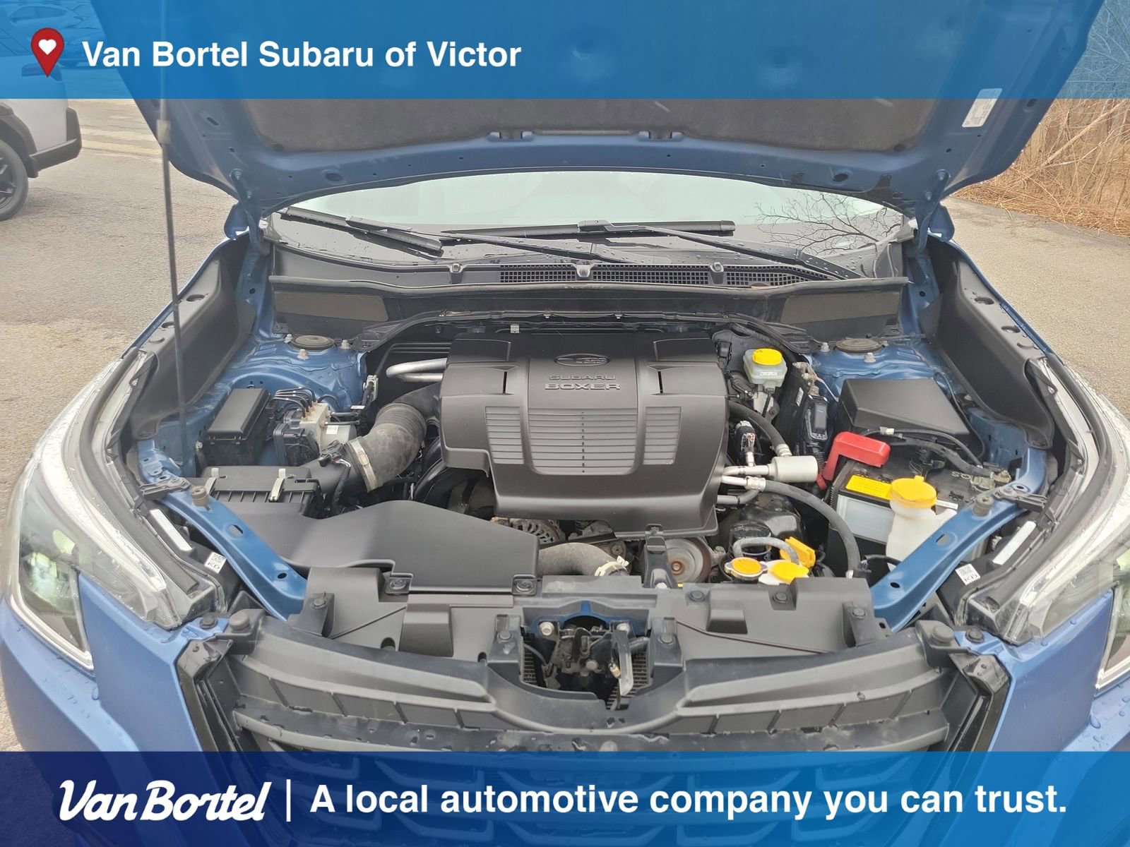 Certified 2023 Subaru Forester Premium image 11