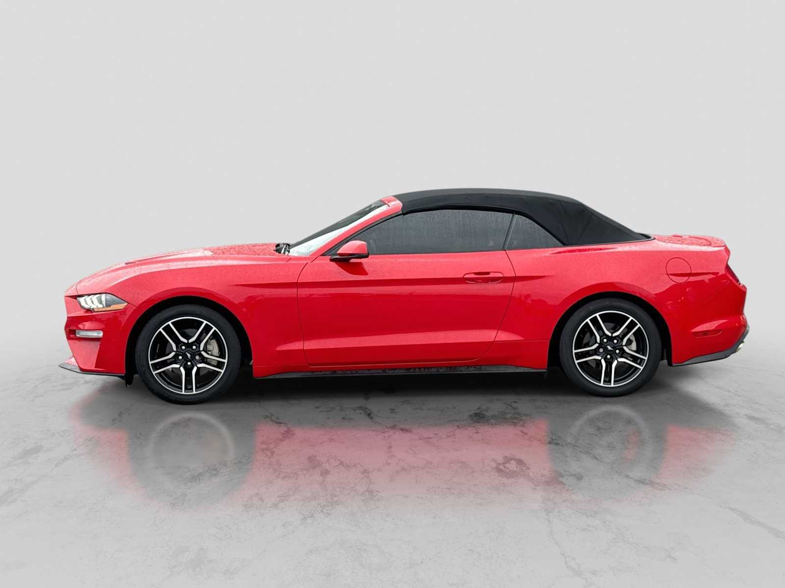 Certified 2019 Ford Mustang Premium w/ Equipment Group 201A RWD image 3