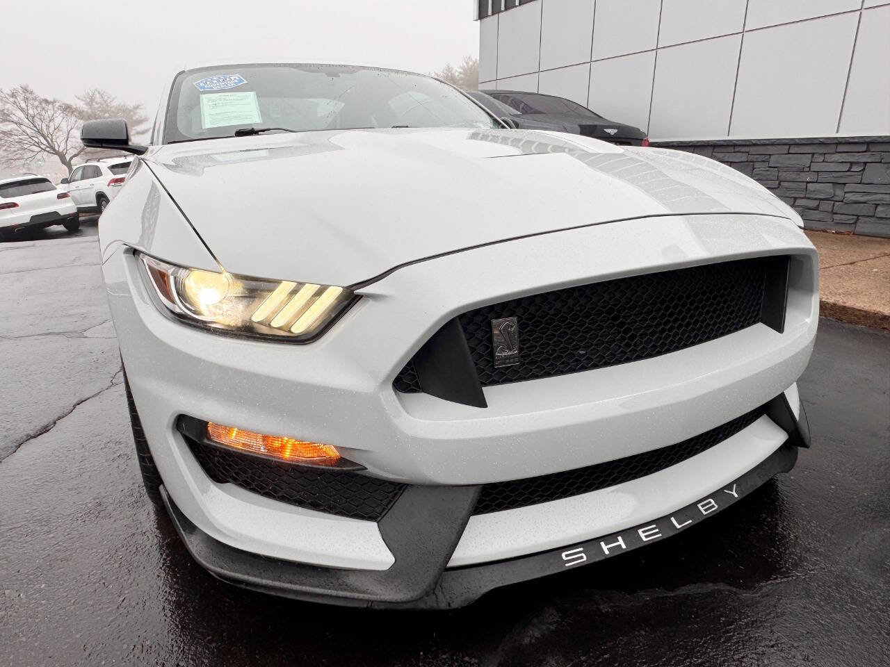 Used 2016 Ford Mustang Shelby GT350 w/ Technology Package image 11