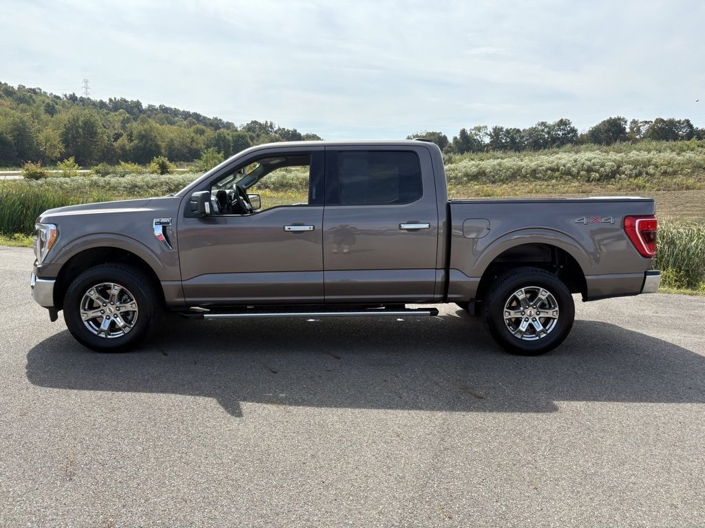 Used 2023 Ford F150 XLT w/ Equipment Group 302A High image 2