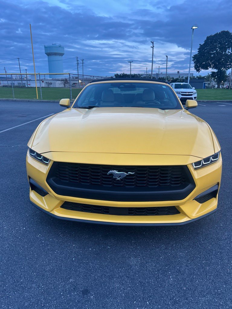 Used 2024 Ford Mustang Premium RWD image 2