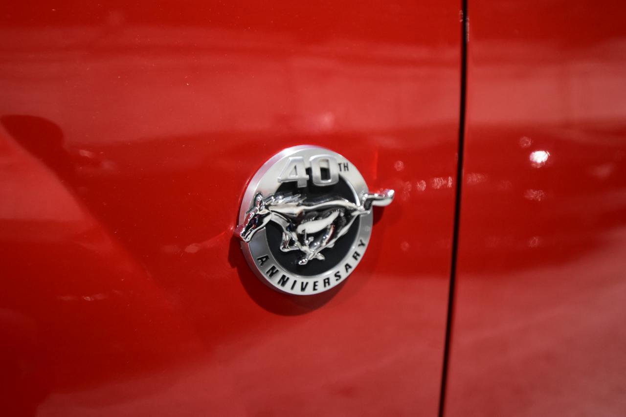 Used 2004 Ford Mustang Mach 1 RWD image 5