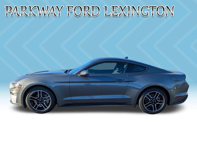 Used 2022 Ford Mustang Coupe w/ Equipment Group 101A image 8