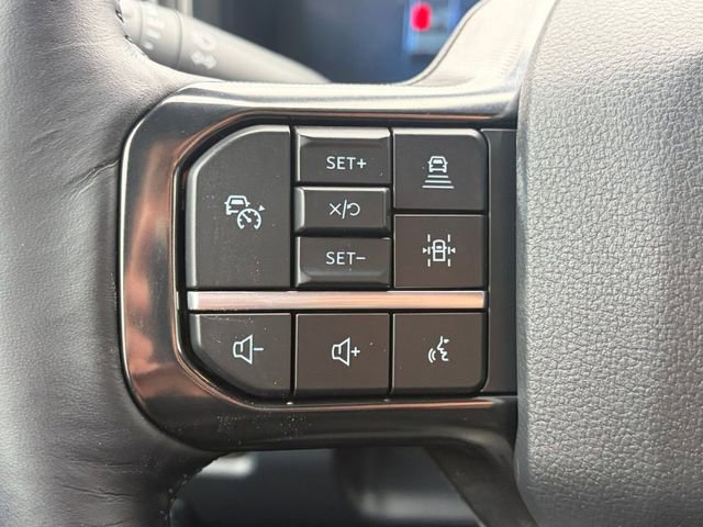 Used 2025 Ford F250 Platinum image 6