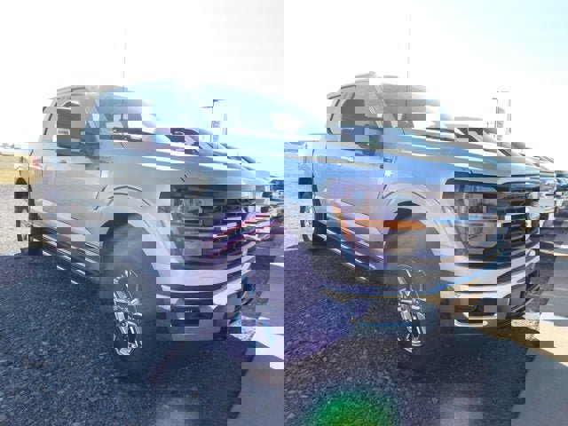 New 2025 Ford F150 XLT w/ Equipment Group 301A Standard