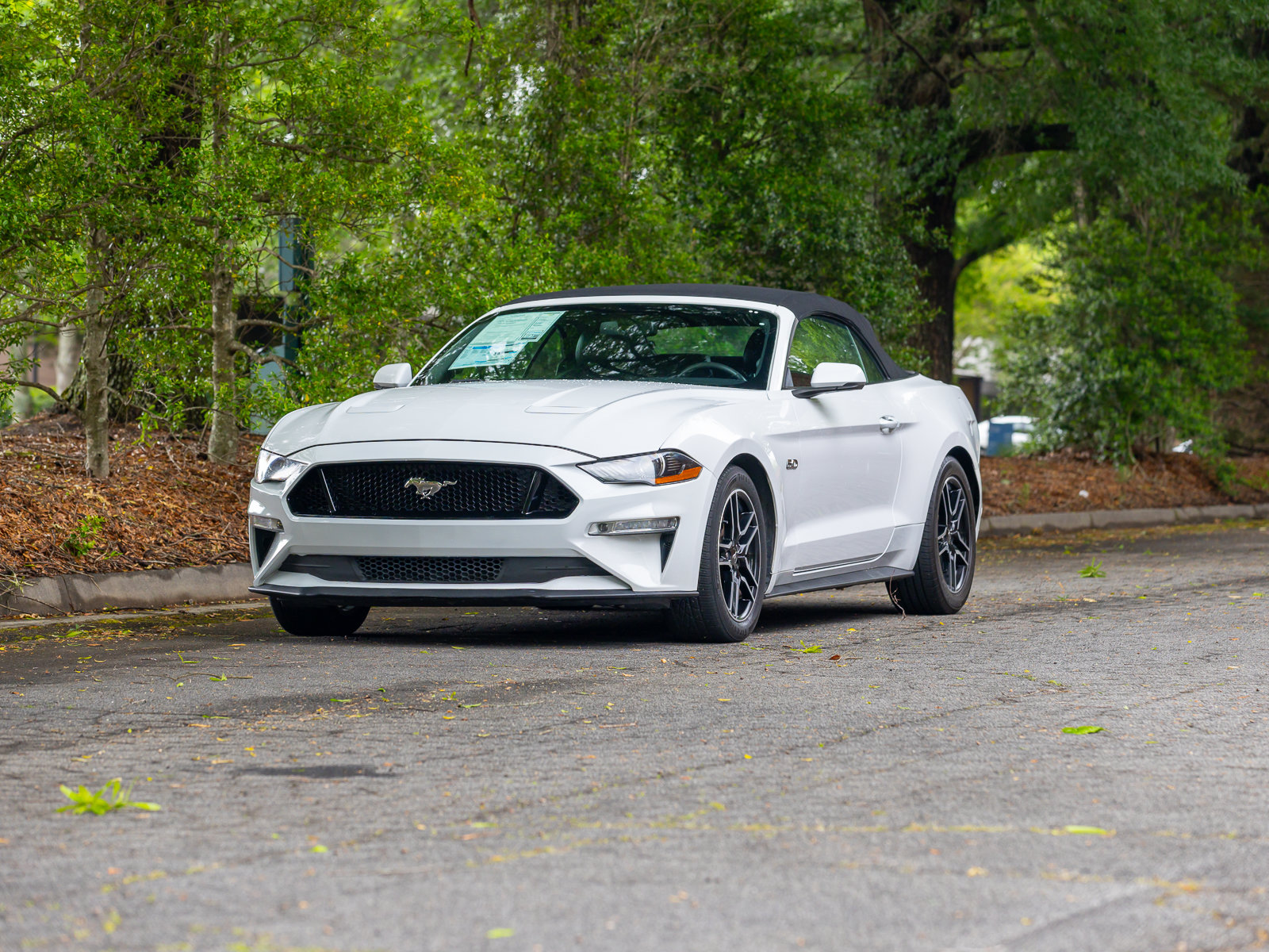 Used 2019 Ford Mustang GT Premium w/ Equipment Group 401A RWD image 44