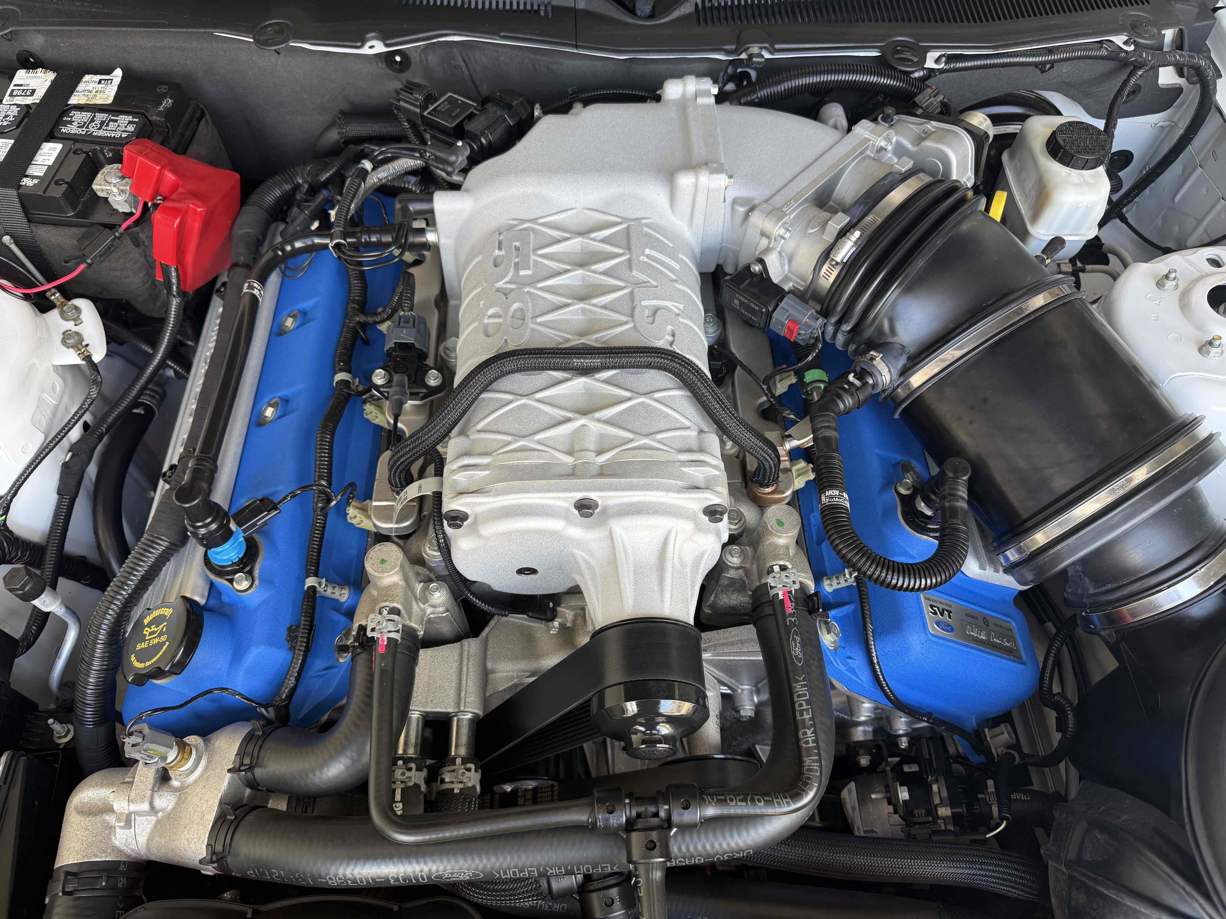 Used 2014 Ford Mustang Shelby GT500 w/ Equipment Group 821A RWD image 33