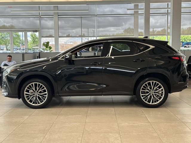 Certified 2025 Lexus NX 350h AWD w/ Accessory Package (2T) image 7