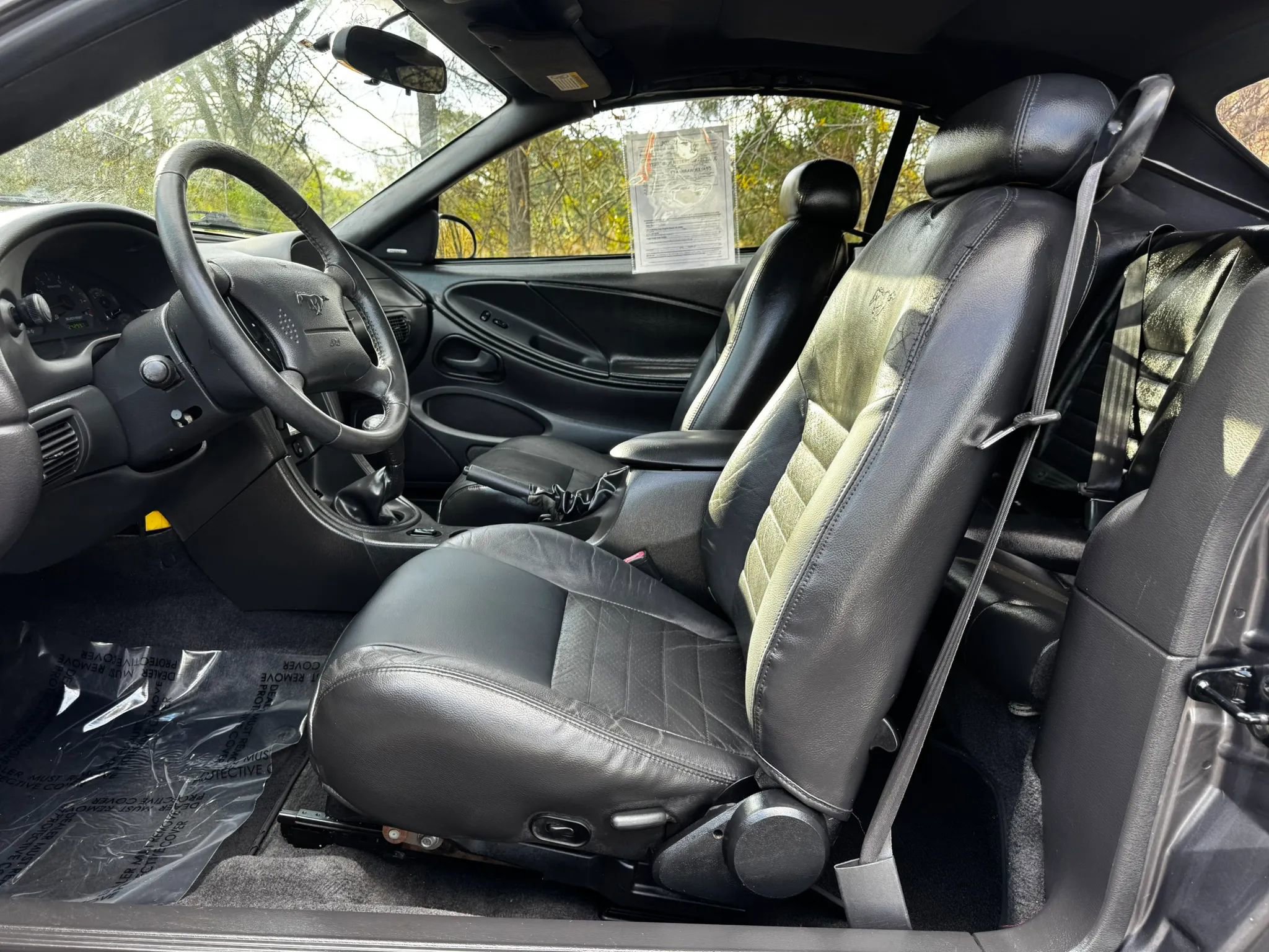 Used 2003 Ford Mustang GT image 11