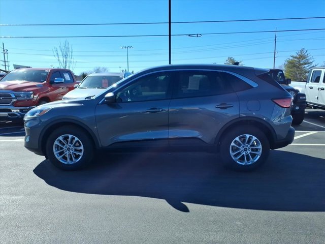 Used 2022 Ford Escape SE w/ Convenience Package image 4