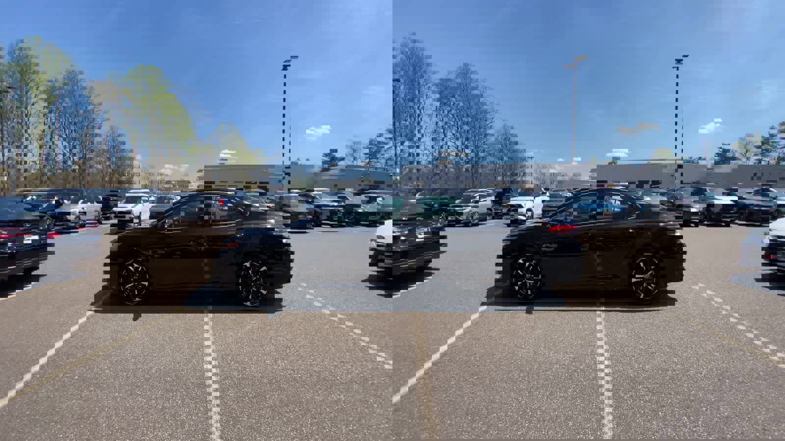 Used 2019 Toyota Camry XSE image 6