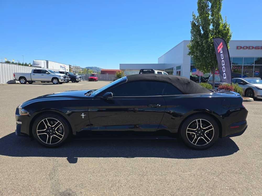 Used 2019 Ford Mustang Premium RWD image 2