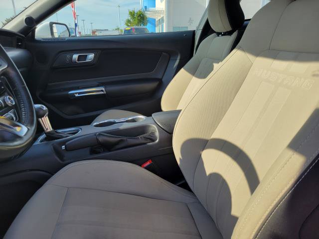 Used 2021 Ford Mustang GT w/ Equipment Group 301A RWD image 15