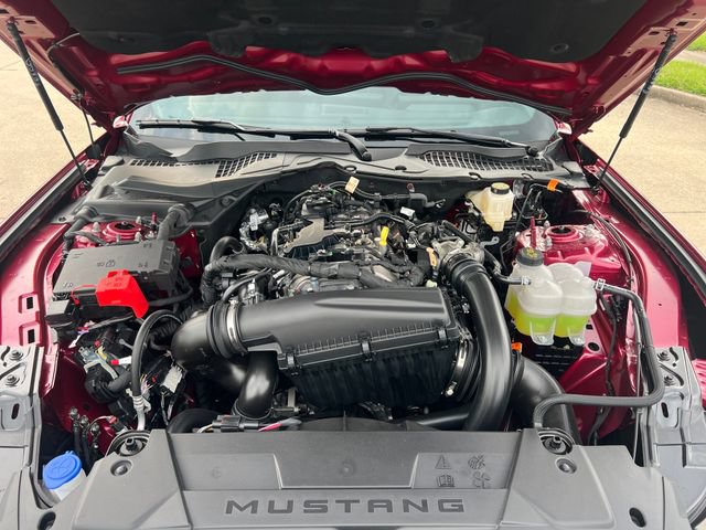New 2026 Ford Mustang Premium RWD image 13