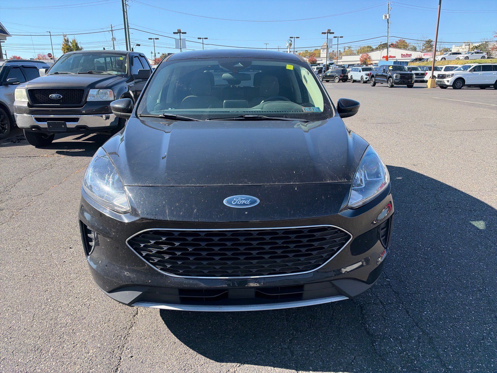 Used 2020 Ford Escape SE AWD/4WD image 2