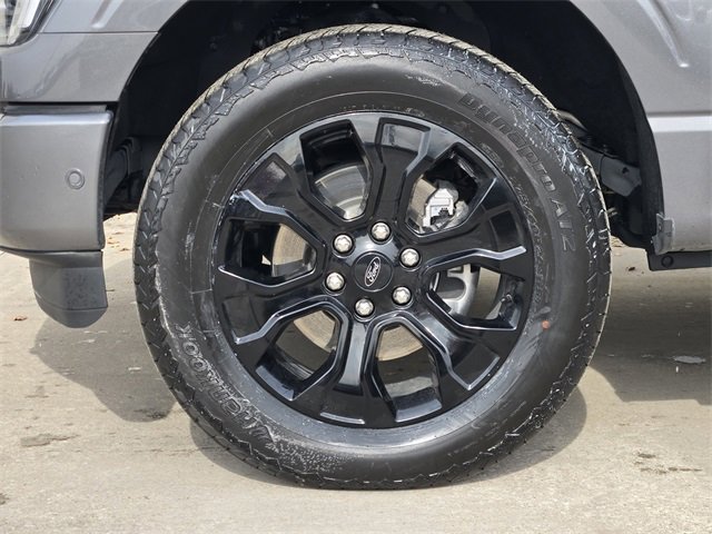 Used 2023 Ford F150 Platinum w/ Equipment Group 701A High image 13