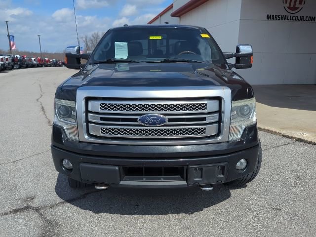 Used 2014 Ford F150 Platinum image 3