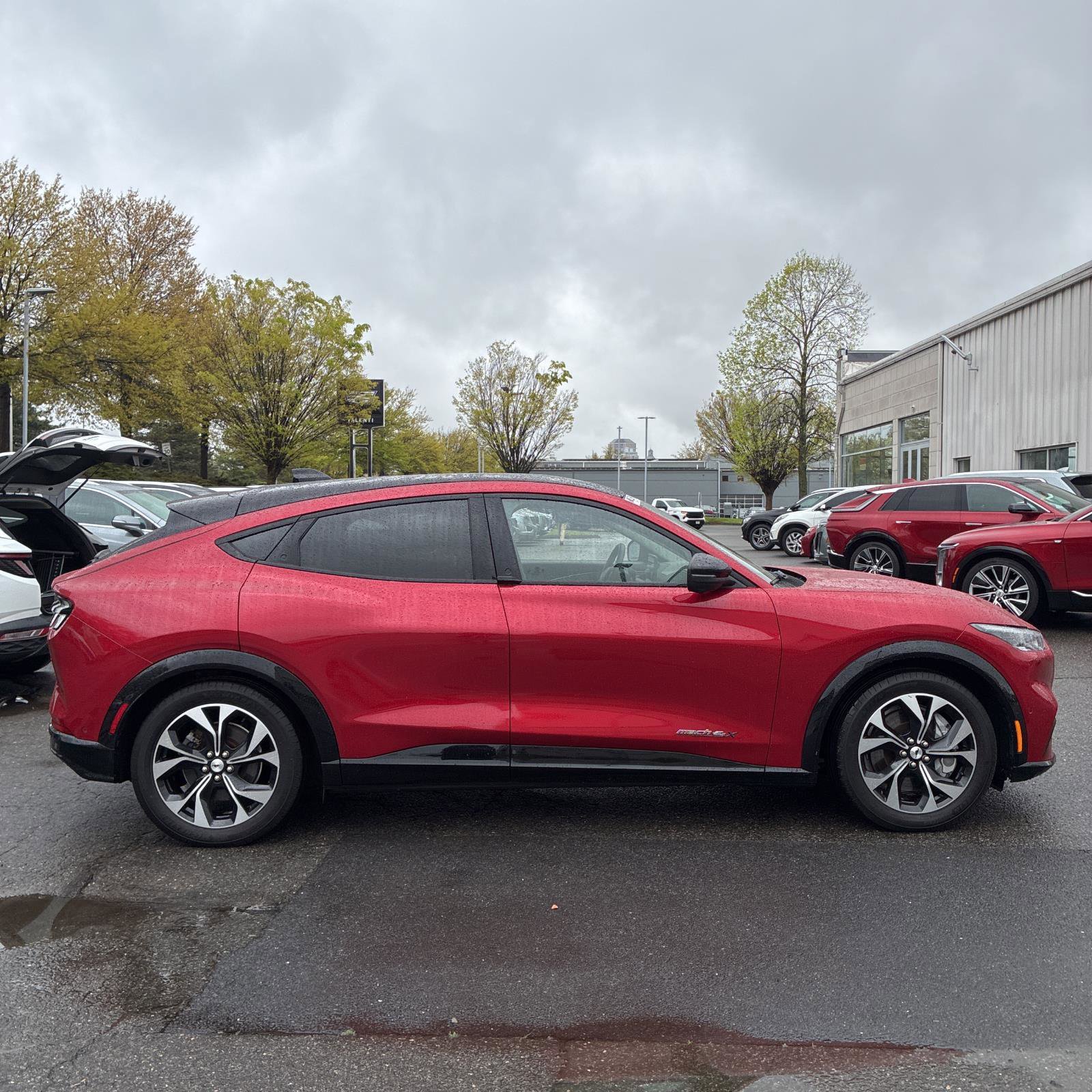 Used 2021 Ford Mustang Mach-E Premium AWD/4WD image 2