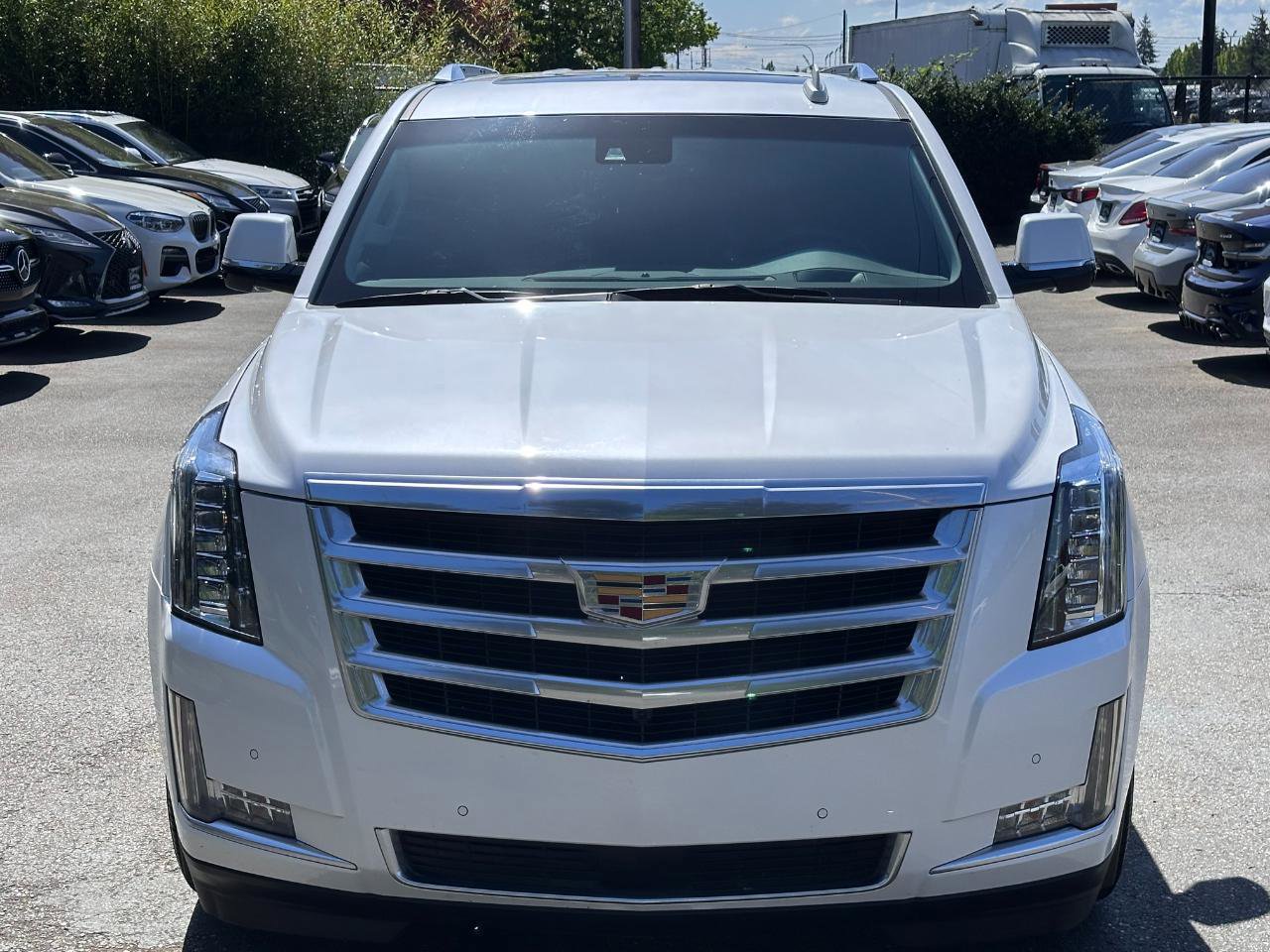 Used 2016 Cadillac Escalade Premium AWD/4WD image 16