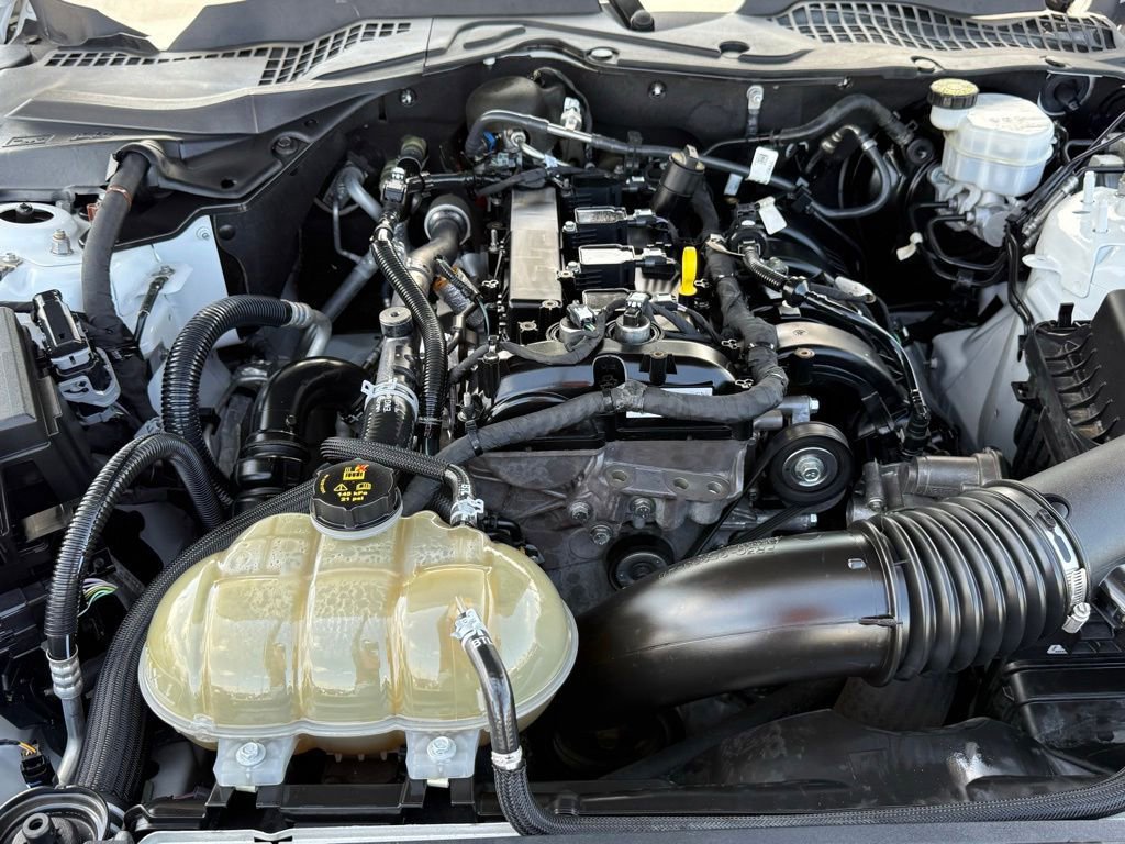 Used 2021 Ford Mustang Coupe RWD image 32