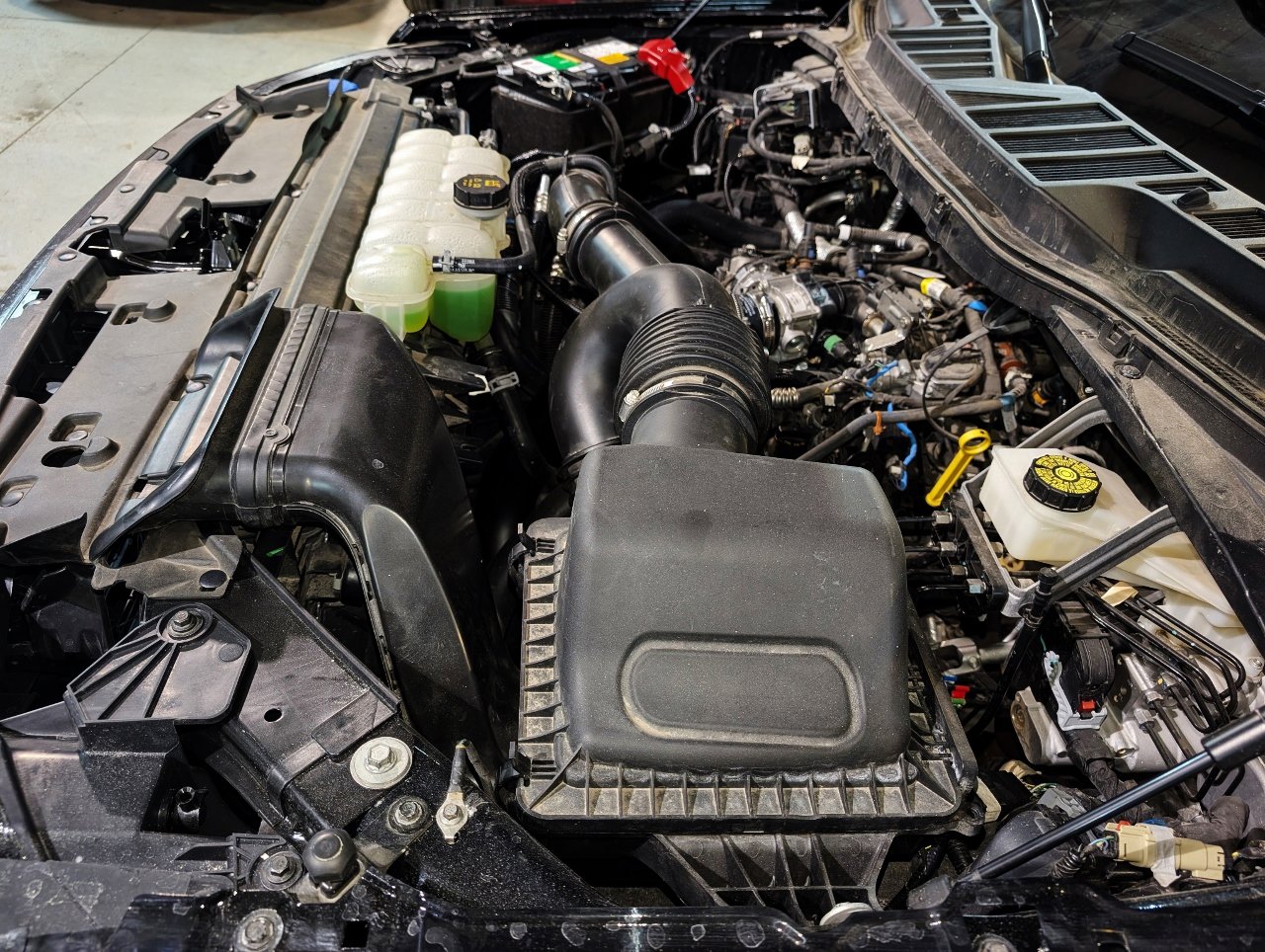 Used 2024 Ford F150 STX image 48