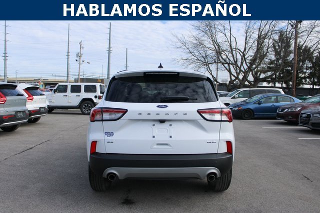 Used 2022 Ford Escape SE w/ Cold Weather Package image 4