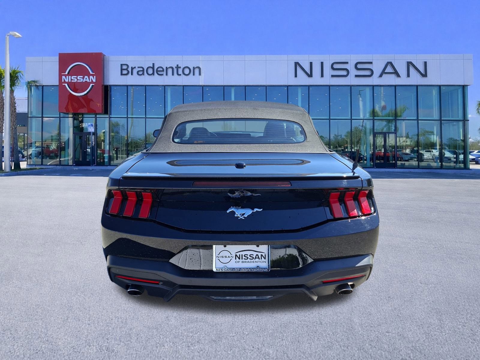 Used 2024 Ford Mustang Premium image 6