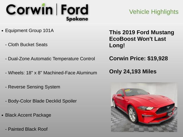 Used 2019 Ford Mustang Coupe w/ Equipment Group 101A image 6