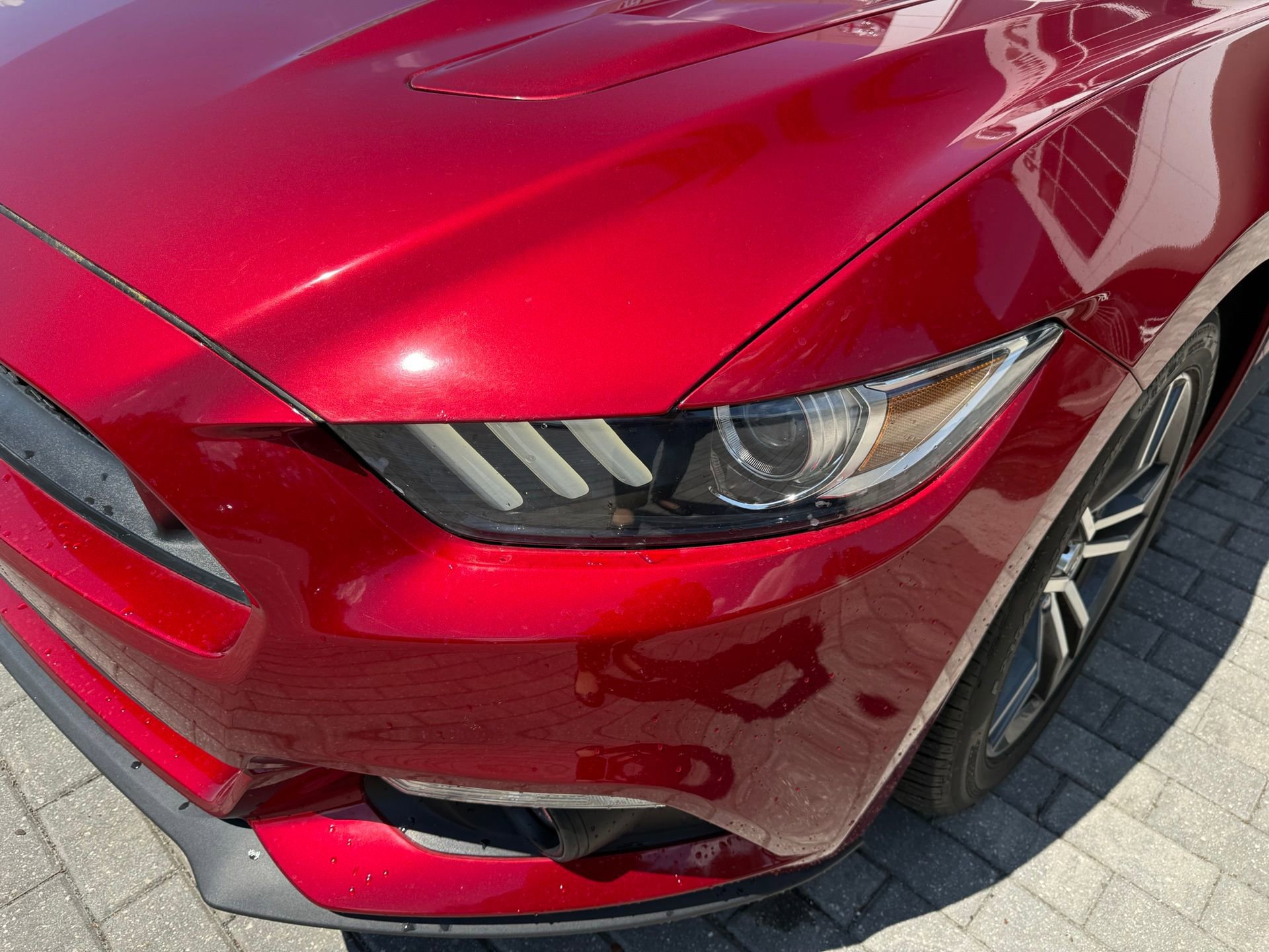 Used 2017 Ford Mustang GT Premium w/ Equipment Group 401A image 18