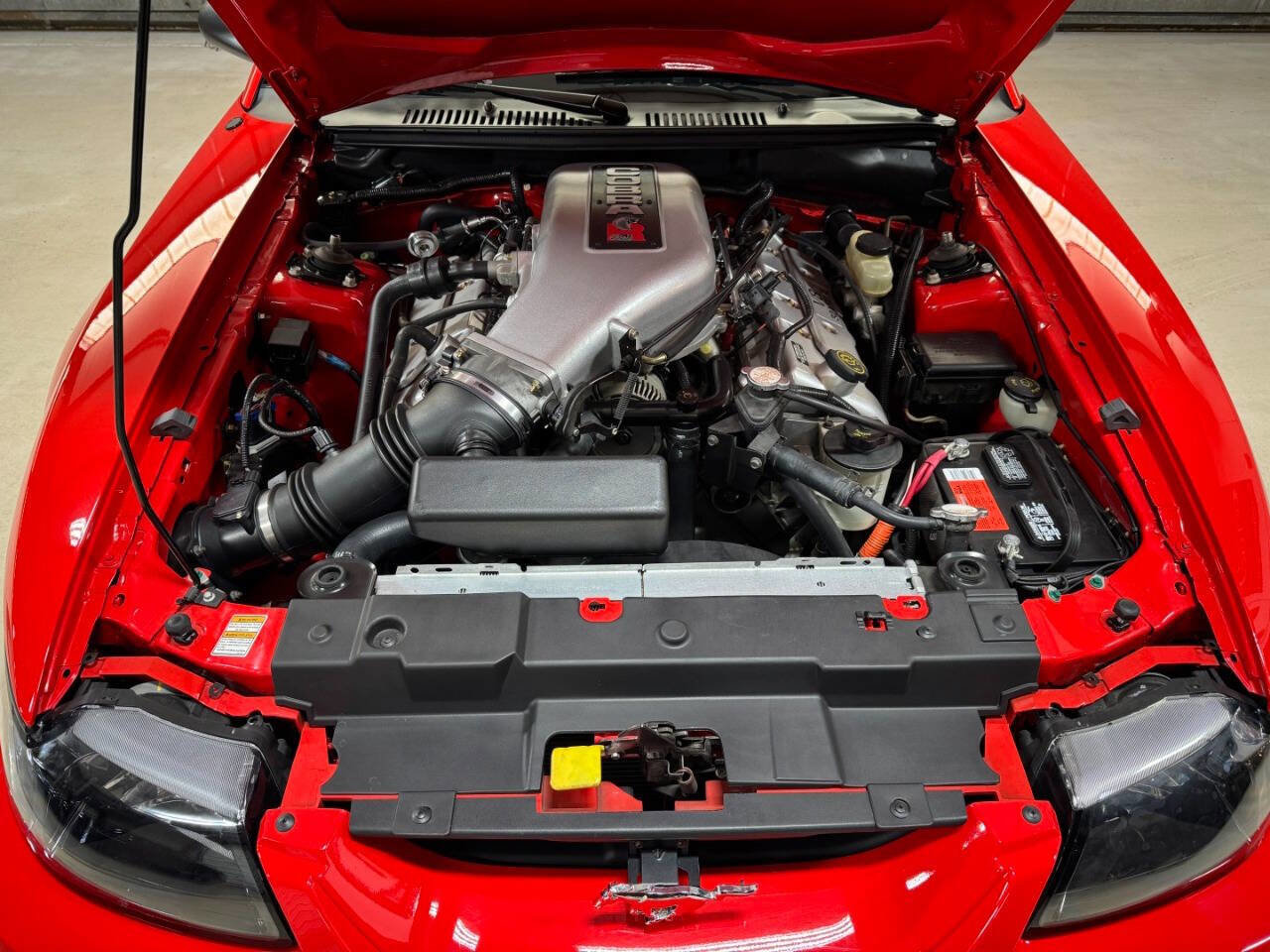 Used 2000 Ford Mustang Cobra RWD image 34