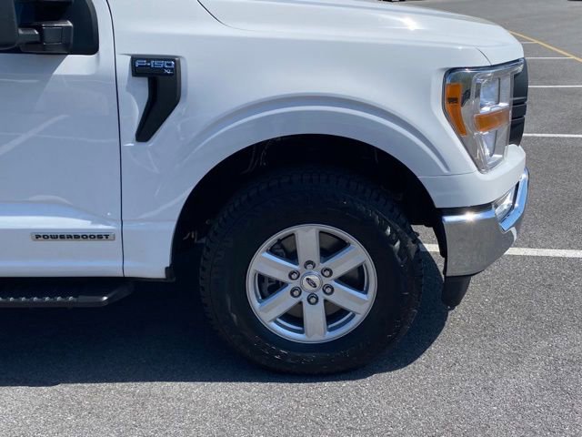 Used 2021 Ford F150 XL w/ Trailer Tow Package image 10