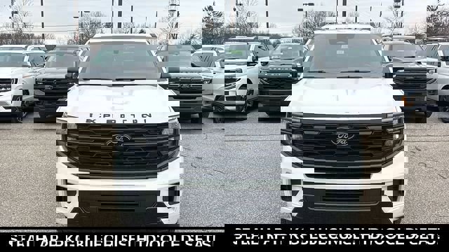 New 2026 Ford Expedition Max Platinum w/ Stealth Appearance Package image 6