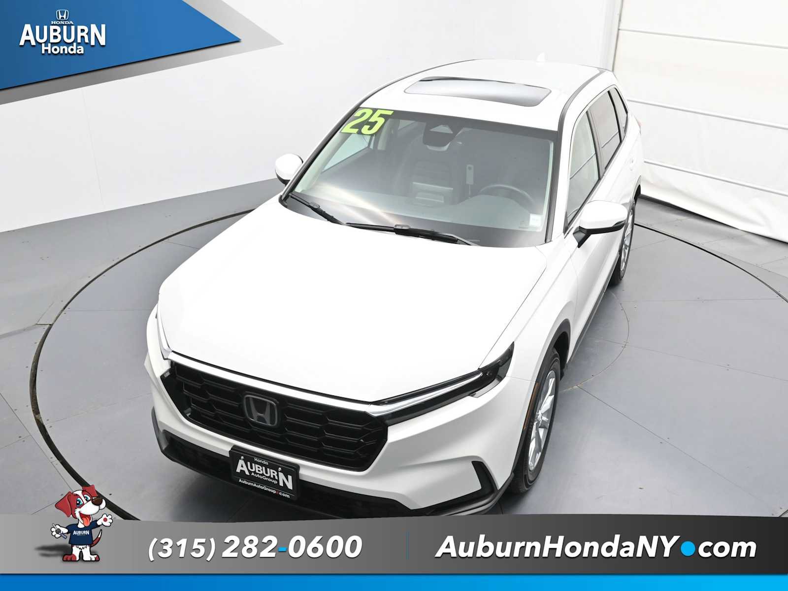 Used 2025 Honda CR-V EX-L image 22