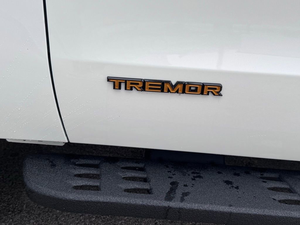 New 2025 Ford Expedition Tremor image 9