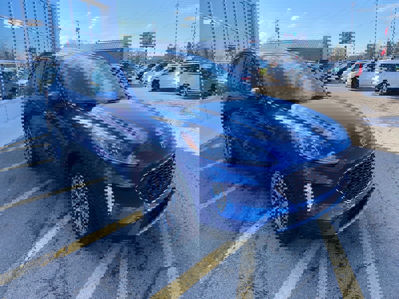 Used 2022 Ford Escape SEL image 7