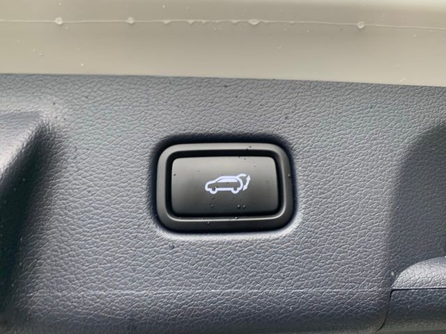 Used 2025 Hyundai Palisade Calligraphy AWD/4WD image 7